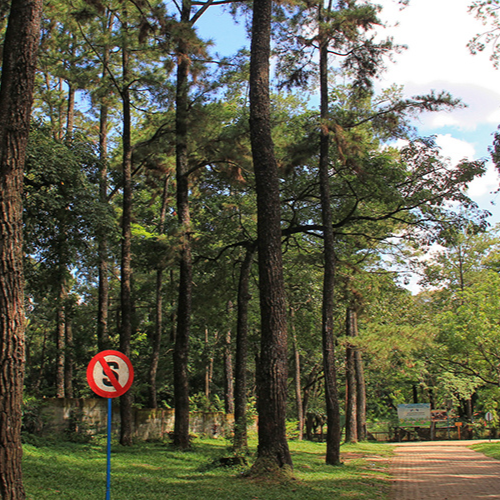 jasa outbond palembang