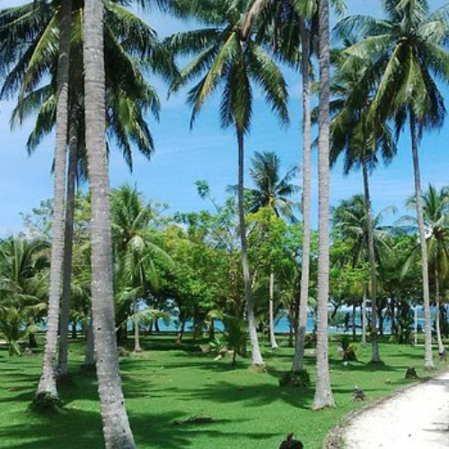 jasa outbond palembang